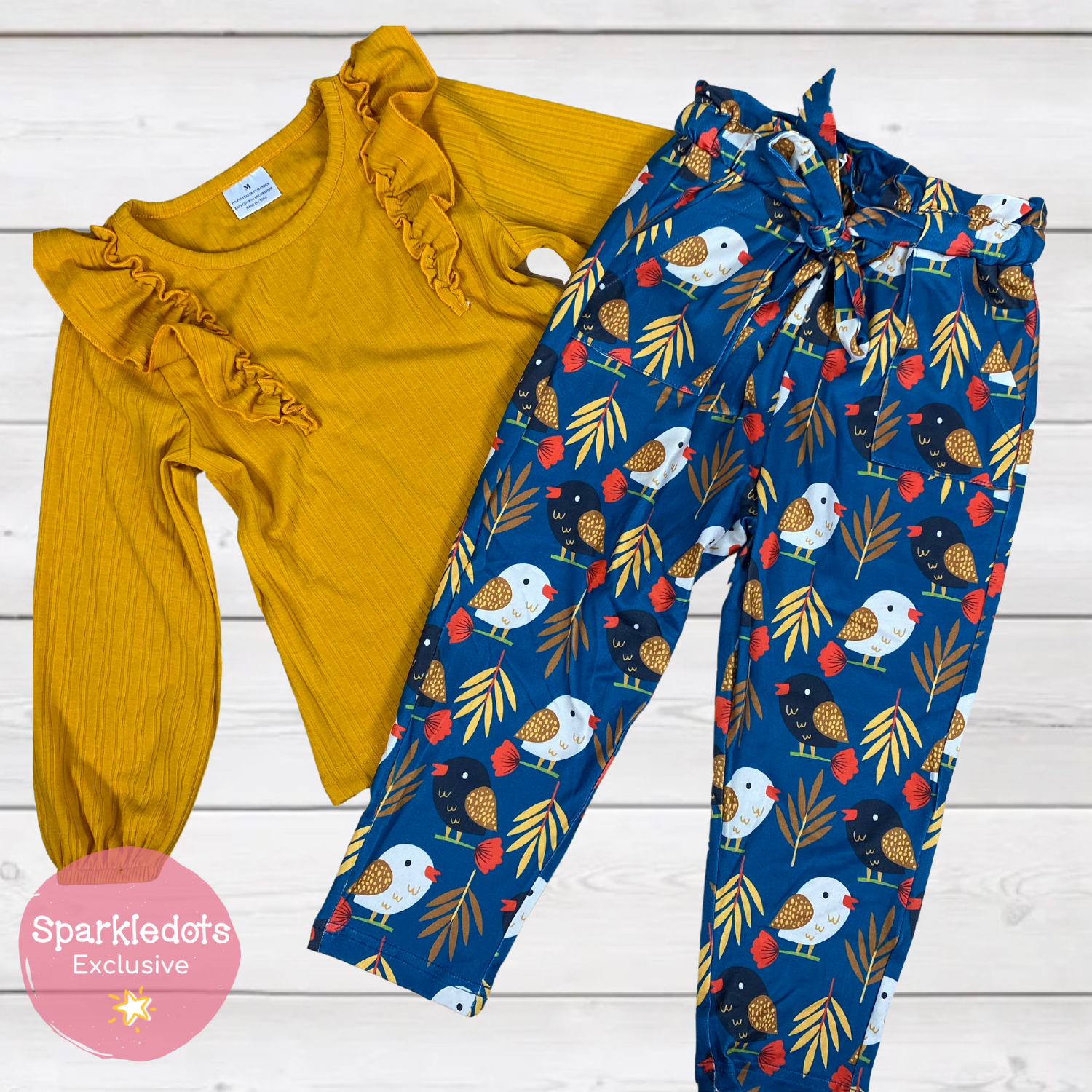 Sweet Birds and Branches Paper Bag Outfit (SD4106)-Outfit Sets-Sparkledots Exclusive-sparkledots